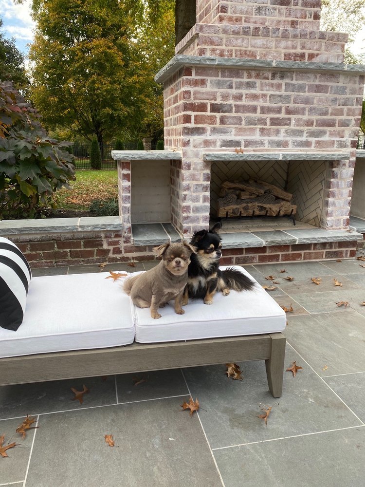 JACKSON ANIMAL CLINIC Updated September 2024 1496 Hwy 2, Corinth