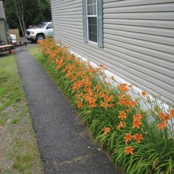 McGuire Seasonal Services