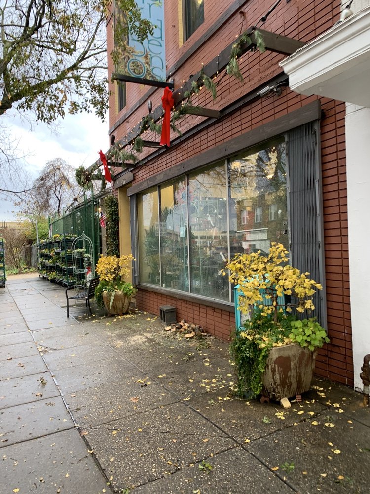 GINKGO GARDENS - Updated January 2025 - 175 Photos & 188 Reviews - 911 ...