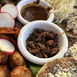 Chapulines