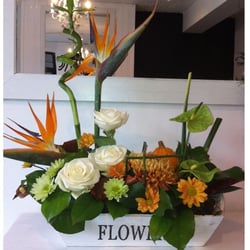 Flowers Now