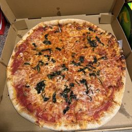 A normal cheese pizza,  not margherita.