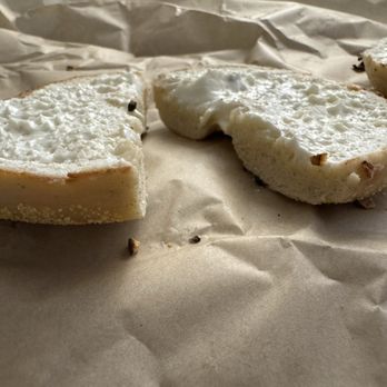 Einstein Bros. Bagels - Single Bagel with Shmear - Bagels Near Me - Studio City, California Einstein Bros. Bagels - Single Bagel with Shmear - Bagels Near Me - Studio City, California