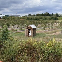 Mood's Farm Market - Spooky hayride