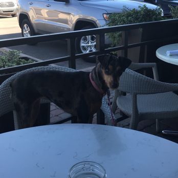 Hash Kitchen - Breakfast & Brunch Near Me - Scottsdale, Arizona Hash Kitchen - Breakfast & Brunch Near Me - Scottsdale, Arizona
