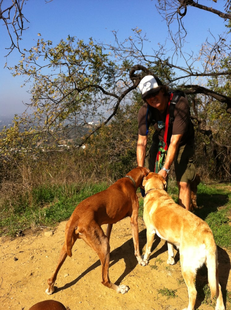 STUDIO CITY PETS 11 Photos Studio City, California Dog Walkers