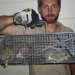 Wildlife Removal Lake County
