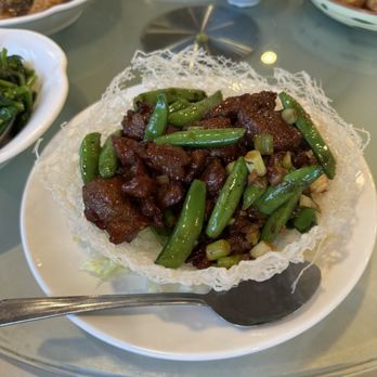 Hong Kong Kitchen & Dim Sum - Cantonese Near Me - San Diego, California Hong Kong Kitchen & Dim Sum - Cantonese Near Me - San Diego, California