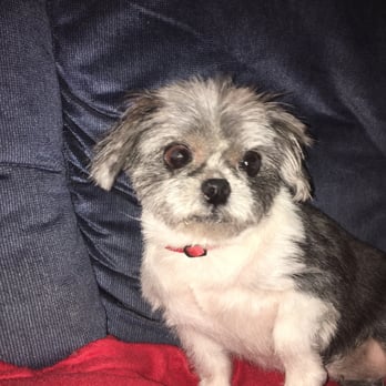 Snooty Pets - Pet Stores Near Me - Las Vegas, Nevada Snooty Pets - Pet Stores Near Me - Las Vegas, Nevada