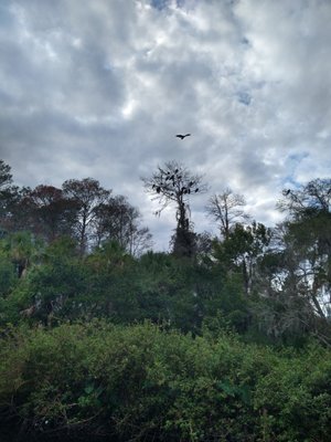 Canoe Outpost-Little Manatee River by null