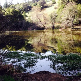 Long Ridge Open Space Preserve - No swimming - Parks Near Me - Cupertino, California