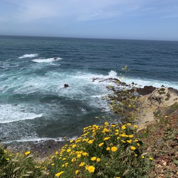Bluff Cove - Beaches Near Me - Palos Verdes Estates, California