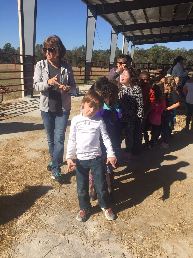 MCBEE SCHOOLS MCBEE ELEMENTARY 284 E Maple Ave, Mc Bee, South