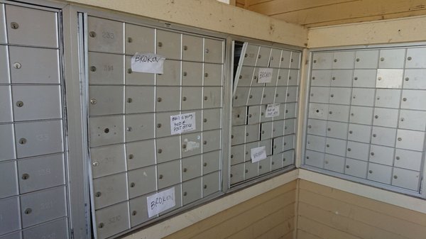 The Ballpark North 48 Photos 60 Reviews Apartments 4600 Elmont Dr Austin Tx United States Phone Number