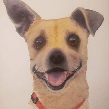 SAGE Veterinary Centers - Campbell - Veterinarians Near Me - Campbell, California SAGE Veterinary Centers - Campbell - Veterinarians Near Me - Campbell, California