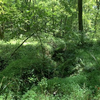 Fred Crabtree Park - Parks Near Me - Herndon, Virginia