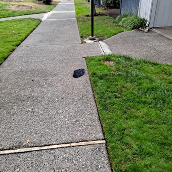 Park Ridge - This was here for 9 days. - Apartments Near Me - Rohnert Park, California