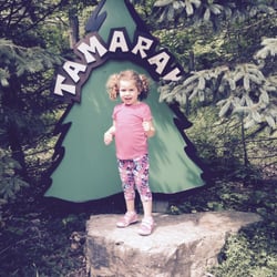 Top 10 Best Day Camps Near Lincolnshire Il Last Updated