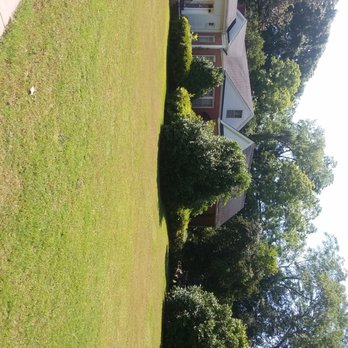 T Ray Services - Property before hedge trimming - Pressure Washers Near Me T Ray Services - Property before hedge trimming - Pressure Washers Near Me