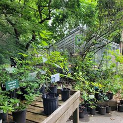 Kruckeberg Botanic Garden