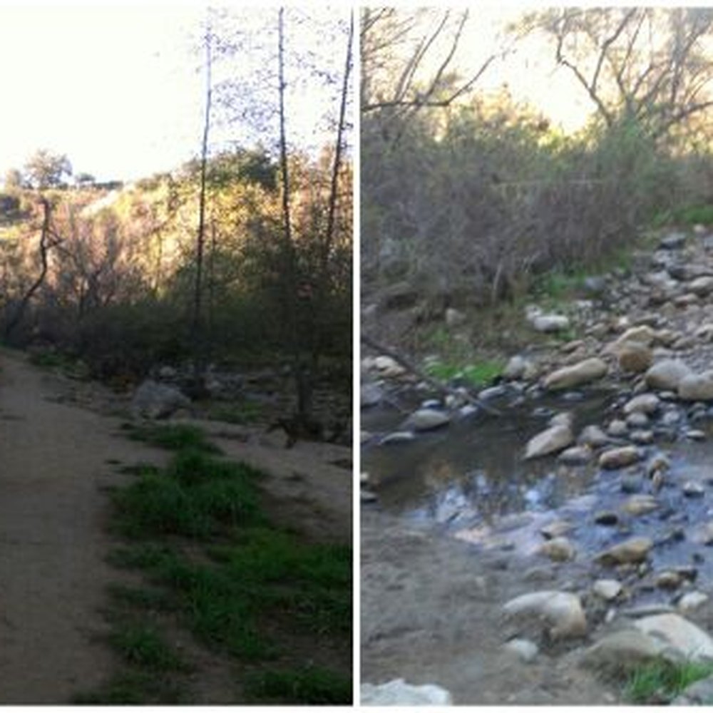Rose Bowl Loop Track - Off the track along the trail outside of the loop. - Parks Near Me - Pasadena, California