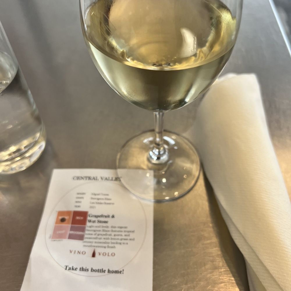 Vino Volo - Sauvignon blanc wine - Wine Bars Near Me - Saint Paul, Minnesota
