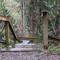 Ruth Johnson Park