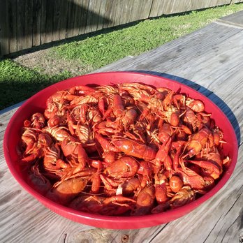 That One Place - masterful mudbugs - Cajun/Creole Near Me - Humble, Texas