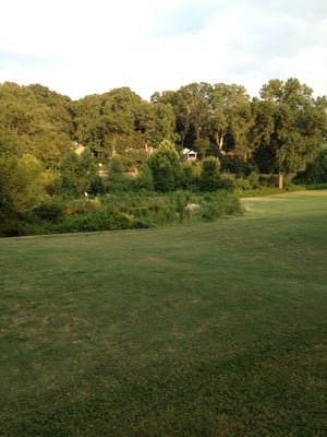 Candler Park Golf Course by null
