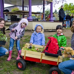 Tilth Alliance - A group of shoppers at Seattle Tilth's annual May Edible Plant Sale in Meridian Park.