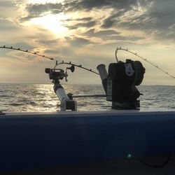 Sports Widow Fishing Charter
