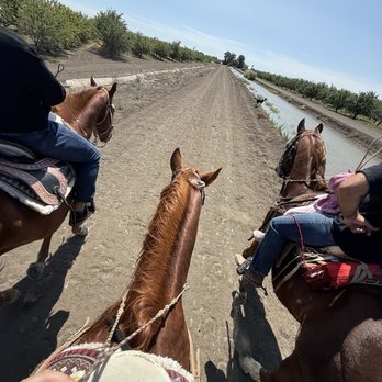 Cowboy Trail Rides - Horseback Riding Near Me - Tracy, California