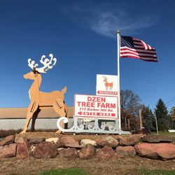 Dzen Tree Farm - Our only entrance to the farm. If you don't see this, you're at the wrong location.