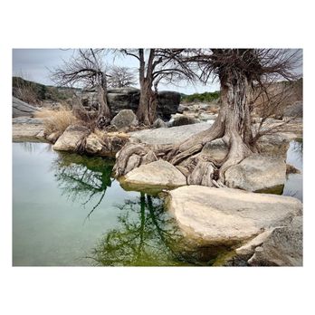 Pedernales Falls State Park - Beautiful reflections - Parks Near Me - Johnson City, Texas