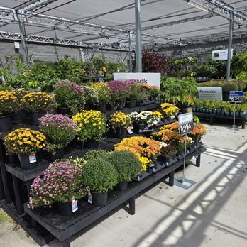 Walmart Supercenter - Garden - Pharmacy Near Me - Jacksonville, Florida Walmart Supercenter - Garden - Pharmacy Near Me - Jacksonville, Florida