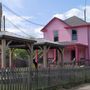 Photo of The Pink Cactus