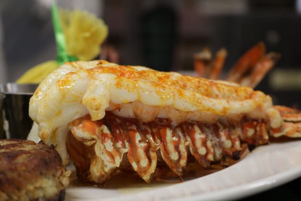 THE WONDER BAR STEAKHOUSE by null