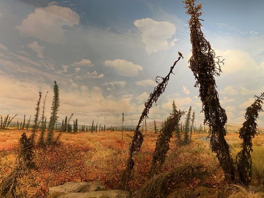 Morris Thompson Cultural & Visitors Center by null