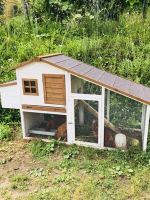 Podere Còncori by null