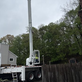 Jhonny's Tree Service - Craning tree limbs - Tree Services Near Me - Flanders, New Jersey Jhonny's Tree Service - Craning tree limbs - Tree Services Near Me - Flanders, New Jersey