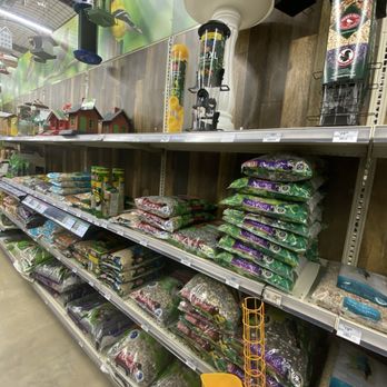 FL Davis Ace Hardware - Bird seed - Hardware Stores Near Me - Springdale, Arkansas FL Davis Ace Hardware - Bird seed - Hardware Stores Near Me - Springdale, Arkansas