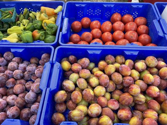 Spokane Farmers' Market by null