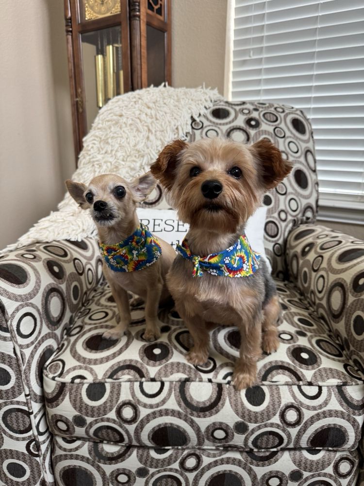 Forney Pet Spa