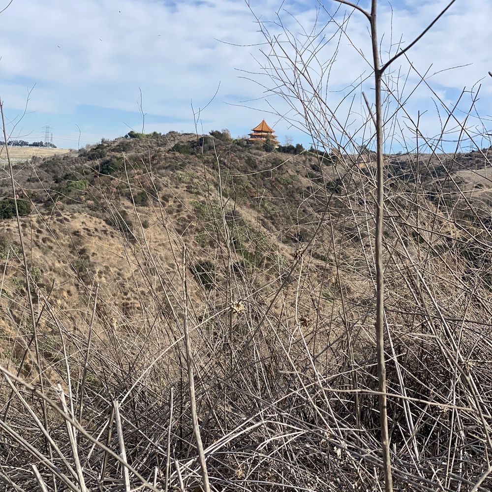 Sycamore Canyon Trail - Temple view while climbing hill - Parks Near Me - Whittier, California Sycamore Canyon Trail - Temple view while climbing hill - Parks Near Me - Whittier, California