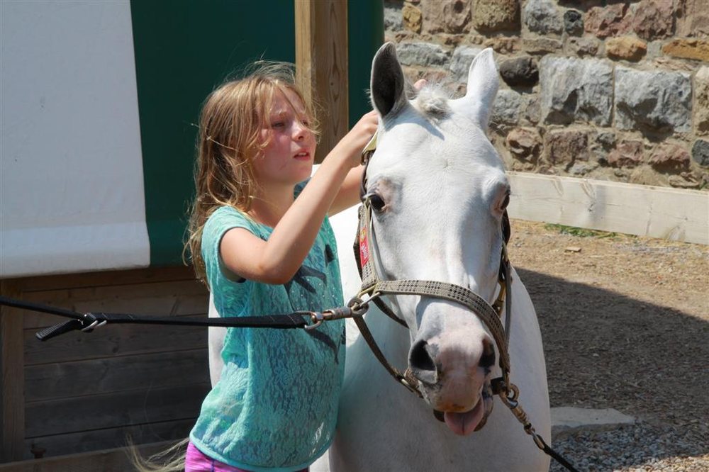 EARTHBOUND STABLES Updated September 2024 35 Photos 155 Uxbridge