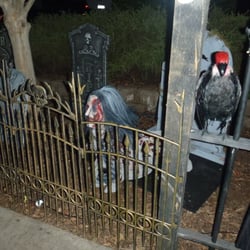 Helms Night Terrors Haunted House