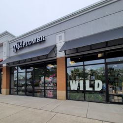 WildFlower - Storefront.