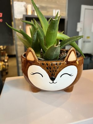 Pelicana Chicken by null