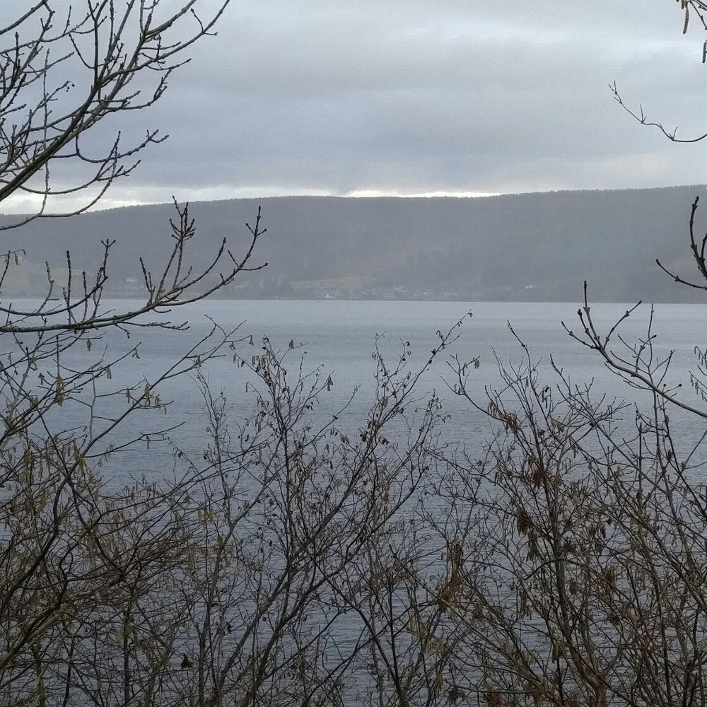 The loch itself.. Cold March day. Yes it was snowing. The loch itself.. Cold March day. Yes it was snowing.