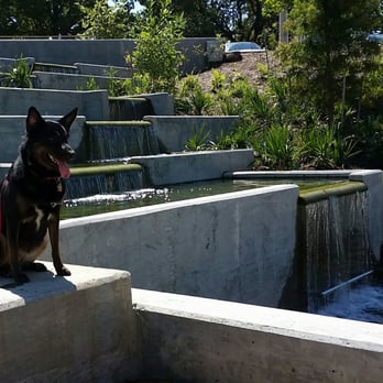 Sit Means Sit Houston - Pet Training Near Me - Houston, Texas